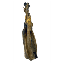 Load image into Gallery viewer, Anco Naturals Rabbit Ear