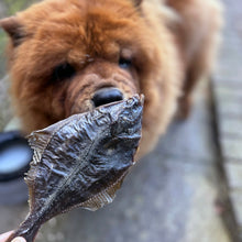 Load image into Gallery viewer, Dried Flounder Fish