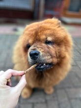 Load image into Gallery viewer, Goose Jerky Stick