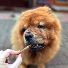 Load image into Gallery viewer, Dog being offered a treat by a hand on a blurred background