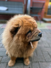 Load image into Gallery viewer, Beef Jerky Stick