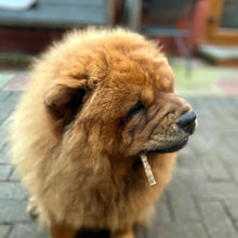 Load image into Gallery viewer, 100% Lamb Jerky Stick