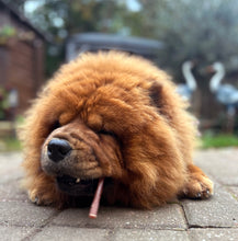 Load image into Gallery viewer, Puppy chewing on a small object on a paved surface