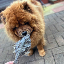 Load image into Gallery viewer, Dried Flounder Fish