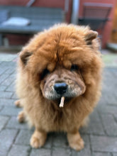 Load image into Gallery viewer, Chicken Jerky Stick