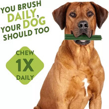 Load image into Gallery viewer, Dog chewing on a green treat with text about daily brushing and chewing habits.