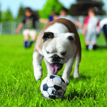 Load image into Gallery viewer, white-kong-sport-dog-ball-and-bulldog