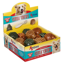 Load image into Gallery viewer, Antos Cerea Hedgehog Large 10cm - Single