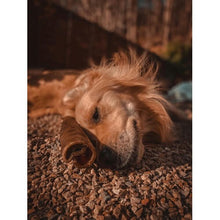 Load image into Gallery viewer, Anco Naturals Camel Roll Large