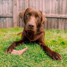 Load image into Gallery viewer, Anco Naturals Lamb Horn Marrow