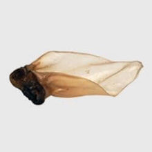 Load image into Gallery viewer, Bronze-colored Buffalo Ear on a white background