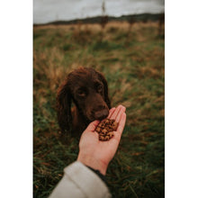 Load image into Gallery viewer, Anco Hemp Oil Infused Fusions Dog Treats 100g