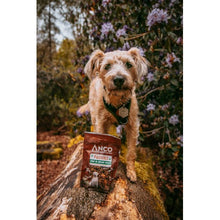 Load image into Gallery viewer, Anco Hemp Oil Infused Fusions Dog Treats 100g