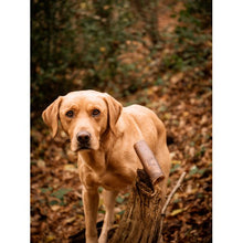 Load image into Gallery viewer, Anco Naturals Camel Roll Medium
