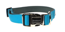 Load image into Gallery viewer, Doodlebone Padded Collar Aqua XL