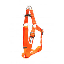 Load image into Gallery viewer, Doodlebone Bold Harness Tangerine Orange XL