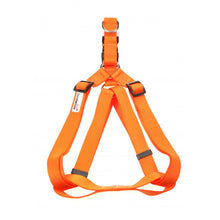 Load image into Gallery viewer, Doodlebone Bold Harness Tangerine Orange XL