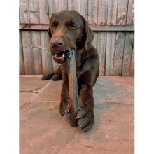 Load image into Gallery viewer, anco-camel-roll-large-brown-dog