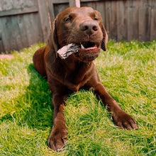 Load image into Gallery viewer, anco-cod-fingers-dog-treats-brown-dog