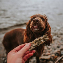 Load image into Gallery viewer, brown-dog-and-anco-macrel-fingers-with-cod