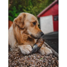 Load image into Gallery viewer, dog-cow-horn