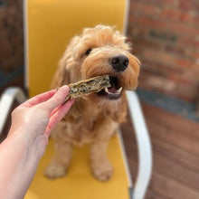 Load image into Gallery viewer, dog-eating-anco-cod-fingers-dog-treats