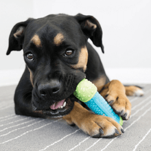 Load image into Gallery viewer, dog-playing-with-blue-and-green-corestrength-dog-toy