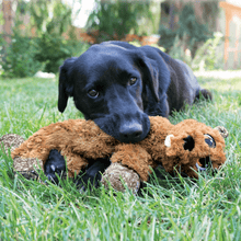 Load image into Gallery viewer, dog-playing-with-flopzie-toy
