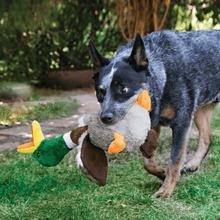 Load image into Gallery viewer, dog-playing-with-kong-shakers-honkers-turkey-dog-toy