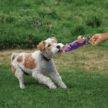 Load image into Gallery viewer, dog-playing-with-kong-tugger-knots-moose-brown-dog-toy