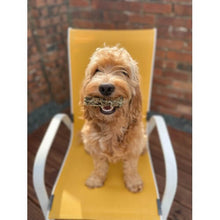 Load image into Gallery viewer, dog-with-anco-macrel-fingers-with-cod