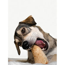 Load image into Gallery viewer, dog-with-lamb-marrow