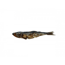 Load image into Gallery viewer, dried-derring-single-500x500