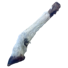 Load image into Gallery viewer, hairy-lamb-trotter-500x500