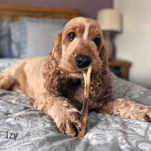 Load image into Gallery viewer, izy-eating-beef-skin