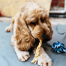 Load image into Gallery viewer, izy-eating-lamb-braid