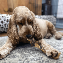 Load image into Gallery viewer, izy-eating-venisonskin