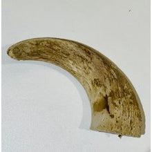 Load image into Gallery viewer, lamb-marrow