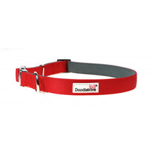 Load image into Gallery viewer, Doodlebone Padded Collar Ruby Red XL
