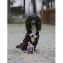 Load image into Gallery viewer, Anco Nutrients Salmon Oil with Herbs 500ml