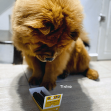 Load image into Gallery viewer, thelma-with-jr-sticks