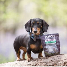 Load image into Gallery viewer, Anco Trainers Lamb Bitesize Training Treats 65g