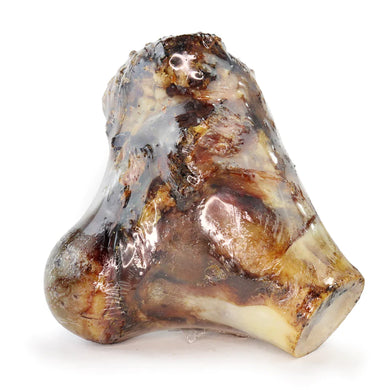 A single JR XL Beef Knuckle Bone which appears to be a natural dog chew treat.
