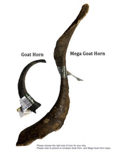 Load image into Gallery viewer, Anco Naturals Goat Horn
