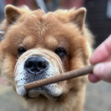 Load image into Gallery viewer, Dog looking at a treat held by a person
