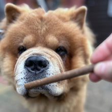 Load image into Gallery viewer, Dog being offered a treat with a stick held by a person
