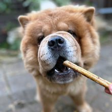 Load image into Gallery viewer, Dog holding a treat in its mouth with a blurred background
