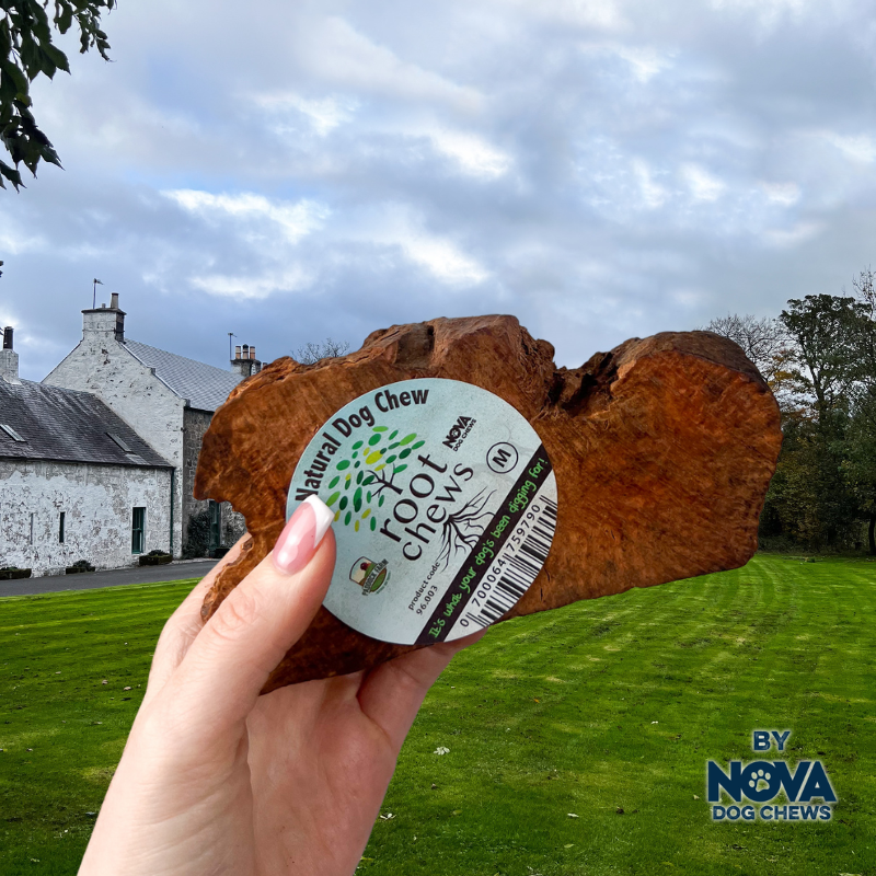 Nova Origins Root Wood Chew Medium  Natural Dental Chew | Chow Paws  Chow  Paws Dog Treats