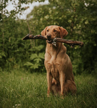 Load image into Gallery viewer, Anco Naturals Giant Deer Leg
