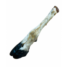 Load image into Gallery viewer, Anco Naturals Hairy Goat Foot
